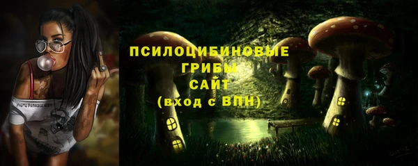 марихуана Абаза