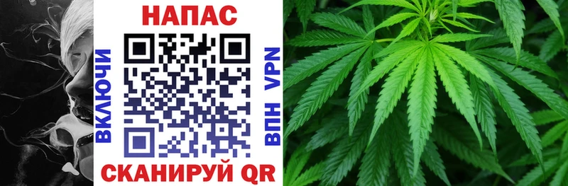 Марихуана Bruce Banner  Аргун 
